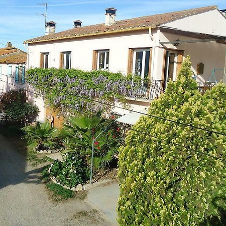Gite Mas Des Ecureuils Palau-del-Vidre Exterior foto